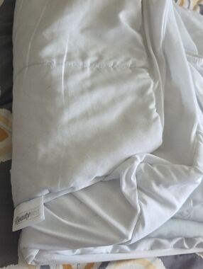 Beautyrest White Mattress Protector And SUNBEAM Blue Twin Fitted Sheet